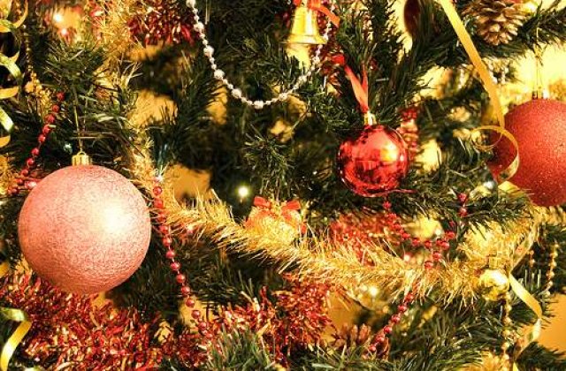 Cat mai costa un pom de Craciun?