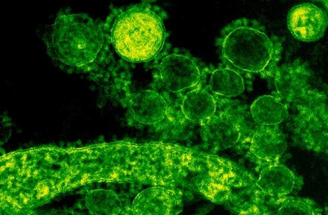 Coronavirus nu si-a facut inca aparitia in Romania