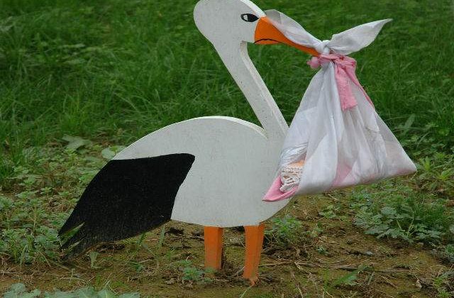 Studiu: Femeile devin mai fertile daca au animale de companie