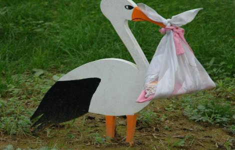 Studiu: Femeile devin mai fertile daca au animale de companie