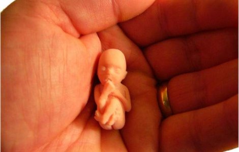 Patriarhia Romana, impotriva finantarii cercetarii pe embrioni umani