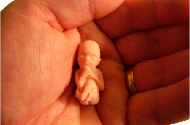 Patriarhia Romana, impotriva finantarii cercetarii pe embrioni umani