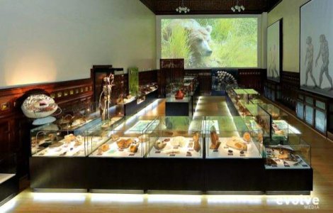  Top  Cele mai neobisnuite muzee din Romania