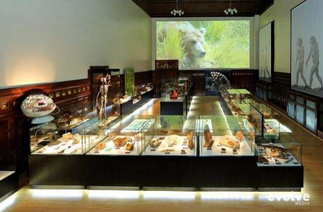 Cele mai neobisnuite muzee din Romania