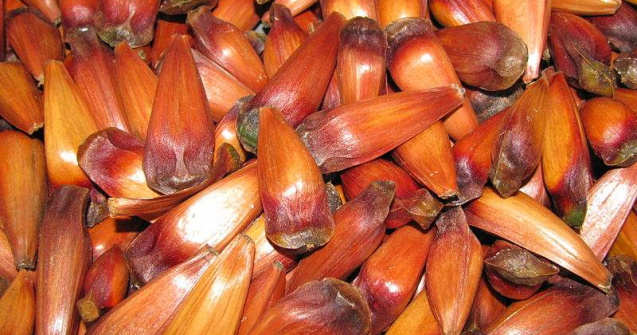 Cea mai noua masura europeana care loveste in micii producatori