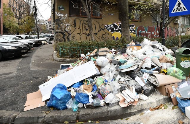 Controale &icirc;n Sectorul 1 al Capitalei! Poliția Locală va identifica persoanele care depozitează deşeuri pe străzi