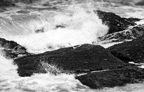 Cutremur de 4,4 grade in Marea Neagra