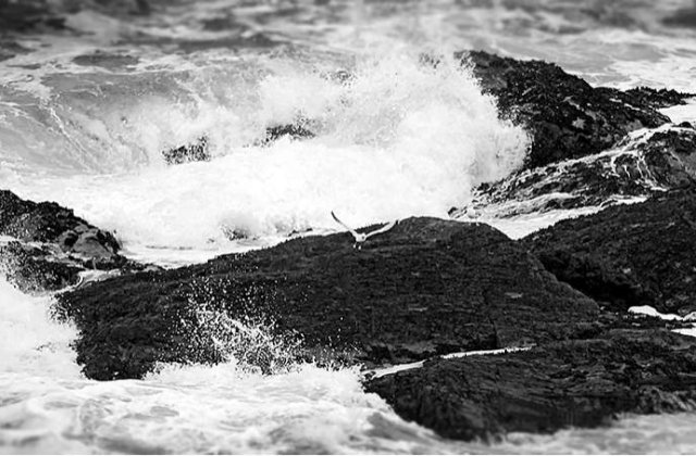 Cutremur de 4,4 grade in Marea Neagra