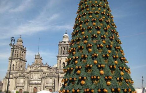  Video  Danezii dau din pedale pentru brazii de Craciun