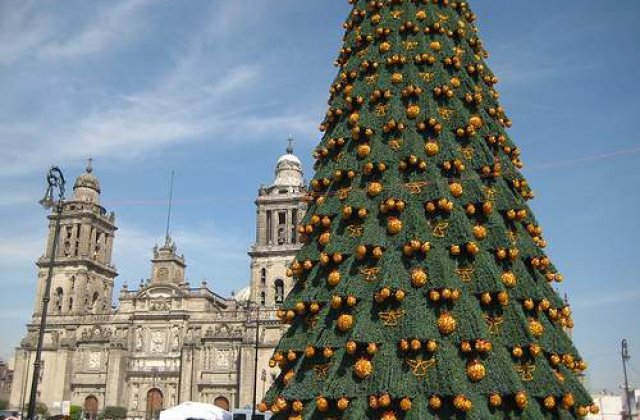 [VIDEO] Danezii dau din pedale pentru brazii de Craciun