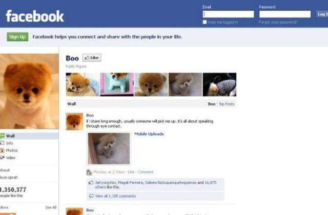 10% din utilizatorii Facebook nu sunt oameni!