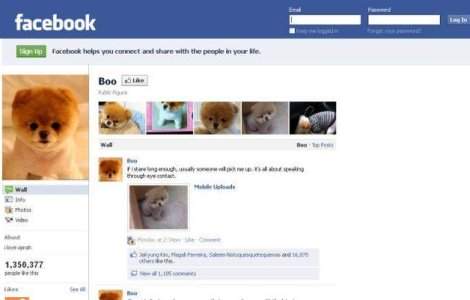 10% din utilizatorii Facebook nu sunt oameni!