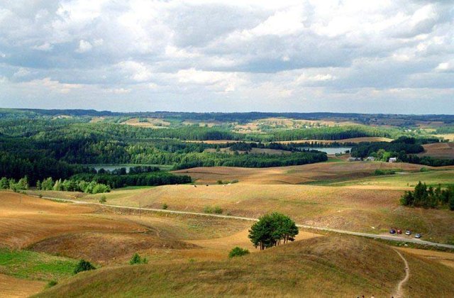 Patronat agricol: Romanul nu are gena asocierii