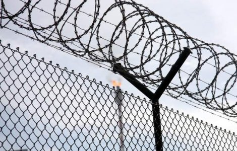 Becali, Babiuc si Cioflina, in aceeasi celula la Penitenciarul Rahova