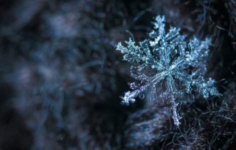  Top  Iarna și temperaturile scăzute: 3 beneficii neașteptate ale sezonului rece