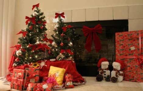 Criza "musca" din traditii: Jumatate dintre romani vor renunta la bradul de Craciun