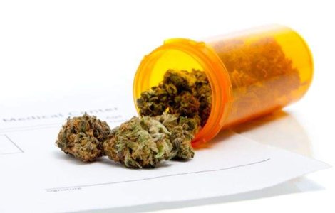 Medic roman: Cel mai bun tratament impotriva durerii este canabisul