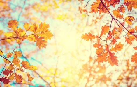 Noiembrie 2020, a doua cea mai călduroasă lună din istorie