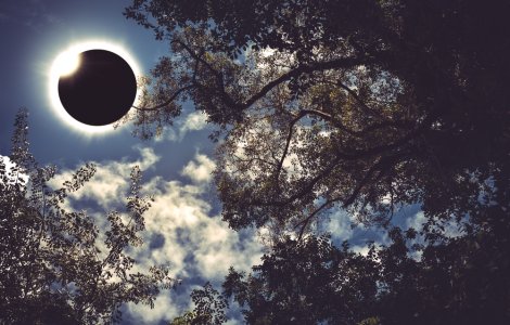 O eclipsă totală de soare a întunecat cerul în Argentina şi Chile