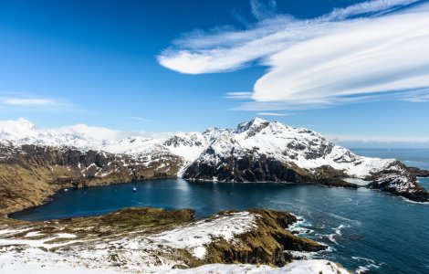 Marea Britanie va monitoriza ciocnirea dintre un aisberg și insula Georgia