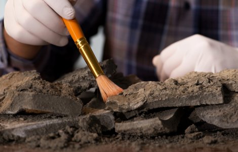 Arheologii israelieni au recreat dalele celui de-al Doilea Templu, unde a pășit Isus