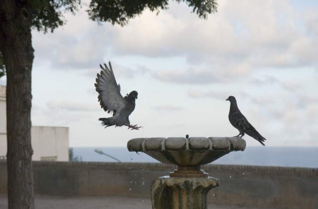 Un barbat s-a aruncat intr-o fantana pentru a obtine o locuinta