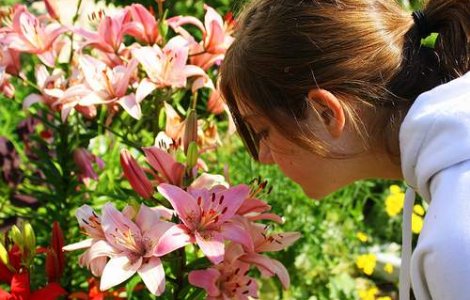 Pe tine ce miros te atrage?