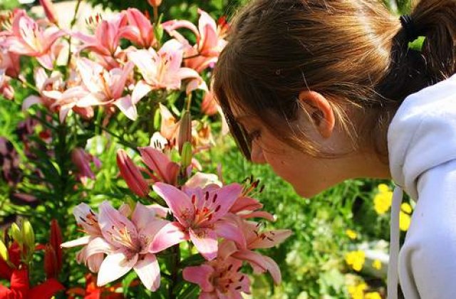 Pe tine ce miros te atrage?