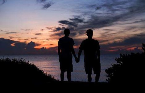 Bruno si Vincent, primii homosexuali care se vor casatori in Franta