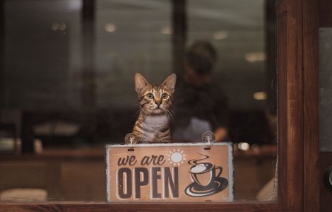 Crearea unui magazin online „la cheie”