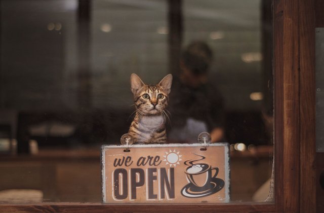 Crearea unui magazin online &bdquo;la cheie&rdquo; - &icirc;ți oferă posibilitatea de a deveni cunoscut &icirc;n mediul online foarte rapid!