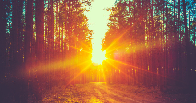 Quebec a doborât recordul absolut de temperatură, depășind 16 grade Celsius