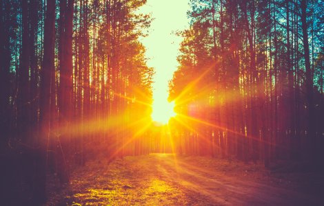 Quebec a doborât recordul absolut de temperatură, depășind 16 grade Celsius