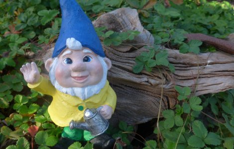 VIDEO 4.100 de pachete de ţigări de contrabandă ascunse în pitici de grădină