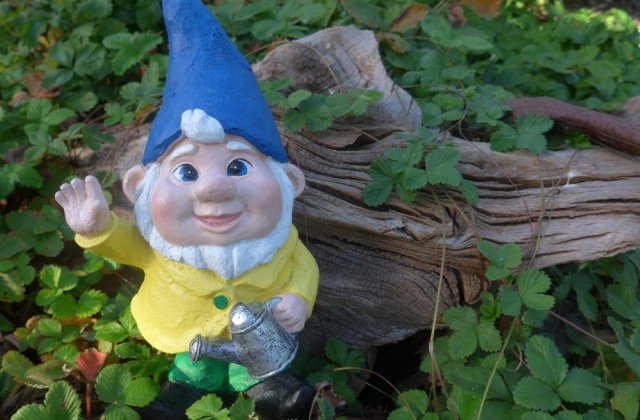 VIDEO Peste 4.100 de pachete de ţigări de contrabandă ascunse în pitici de grădină