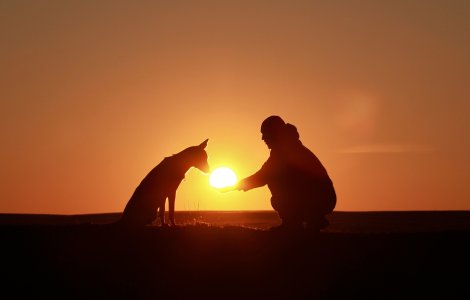 VIDEO Un vlogger și cățelul său au călătorit 29.000 de kilometri pe jos