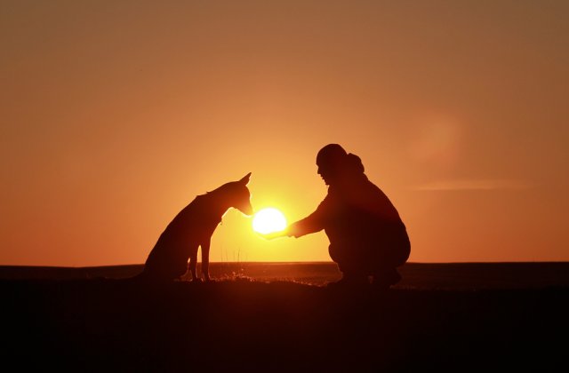 VIDEO Un vlogger și cățelul său au călătorit 29.000 de kilometri pe jos