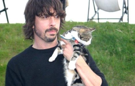  Top  10 zei ai rockului si animalele lor de companie