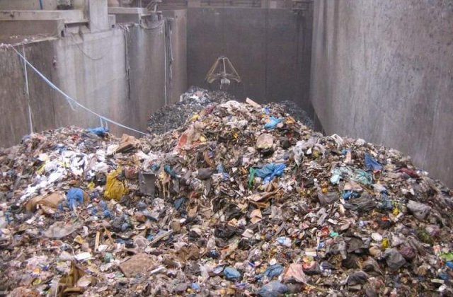 Cata mancare arunca romanii la gunoi?