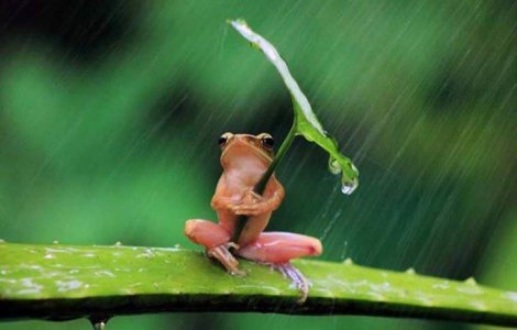 Meteo: Vreme rece si instabila la inceputul saptamanii