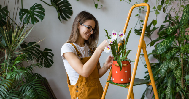  Top  7 obiecte care nu trebuie să lipsească din apartamentul tău