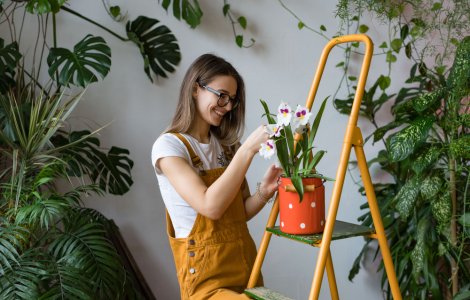  Top  Armonia casei tale: 7 obiecte care nu trebuie să lipsească din apartamentul tău