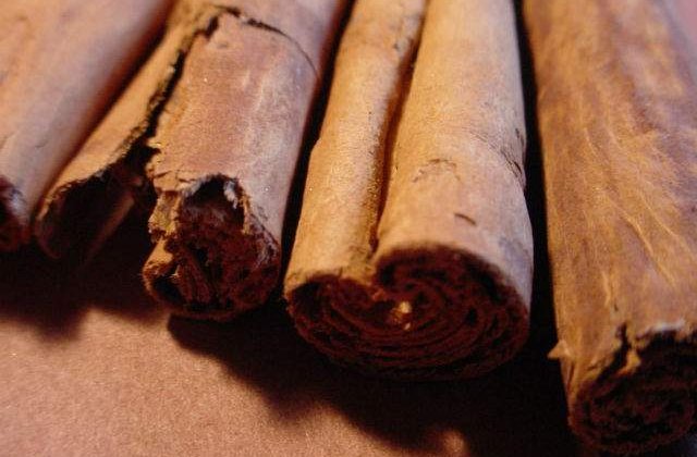 Scortisoara ar putea proteja creierul contra maladiei Alzheimer