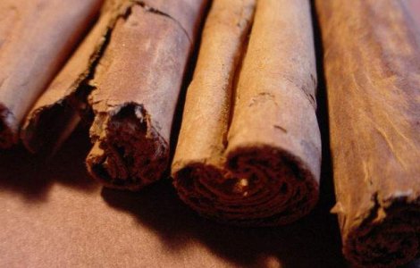 Scortisoara ar putea proteja creierul contra maladiei Alzheimer