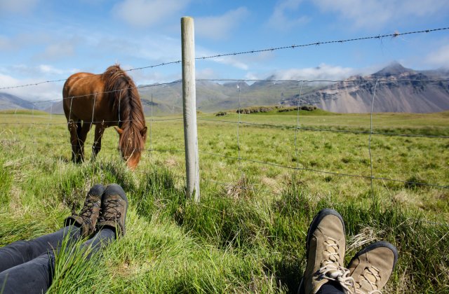 Fii fericită cu ceea ce trăiești, mănâncă sănătos, roagă-te, iubește tot ceea ce ai în jur