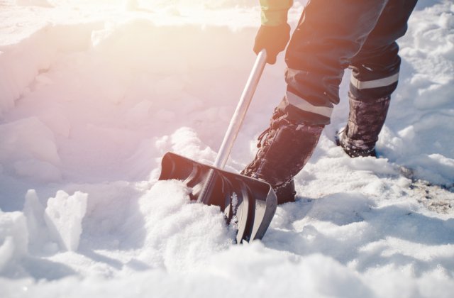 VIDEO: Lucrătorii feroviari din Austria au salvat o capră sălbatică îngropată în zăpadă