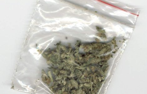Guvernul ceh a autorizat detinerea de mici cantitati de droguri