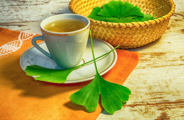 Consumul de Ginkgo Biloba te va întineri: 4 beneficii ale copacului minune asupra organismului tău