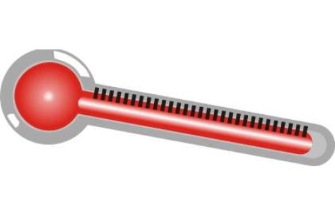 Romania inregistreaza doua noi decese provocate de gripa porcina