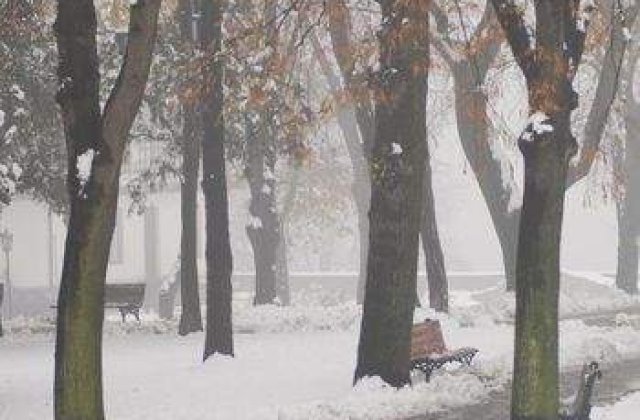 Bucuresti: Zonele cu probleme din cauza zapezii si a poleiului